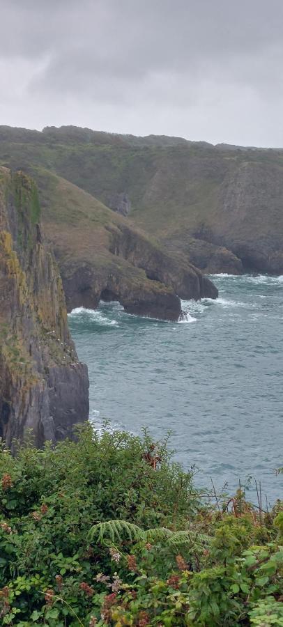 Raymond House B&B Penally, Tenby Dış mekan fotoğraf