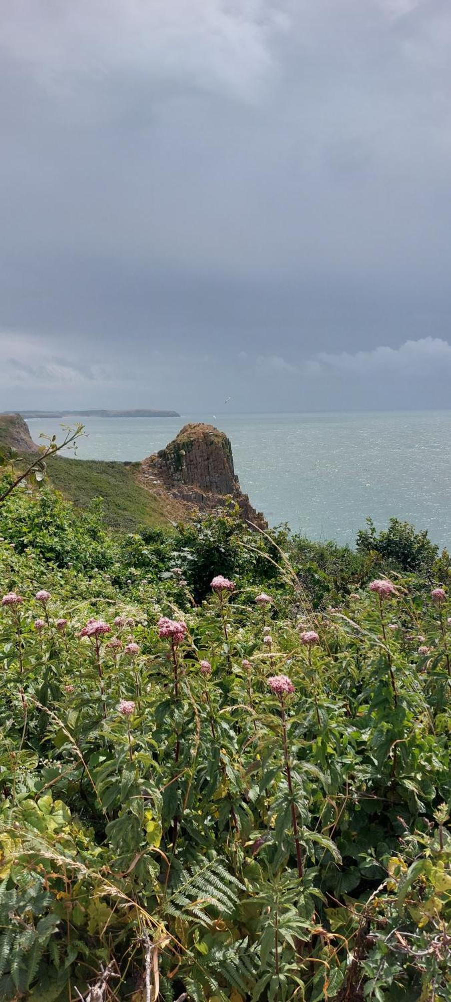 Raymond House B&B Penally, Tenby Dış mekan fotoğraf